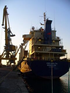 Бургасский залив: ранним утром искали морского судака на воблеры и блесны