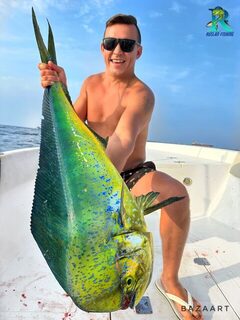 На Фуджейре, ОАЭ: морская рыбалка с поппером и живцом на активной рыбе