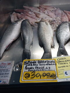 Сардиния, Италия: морская рыбалка с берега у Палау в ноябре с бомбардой в тихую погоду