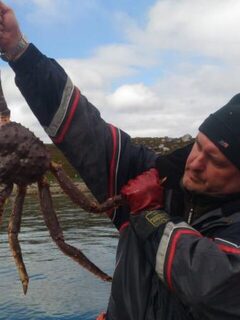Норвегия: морская рыбалка за крабом с надувной лодки, треска тоже была
