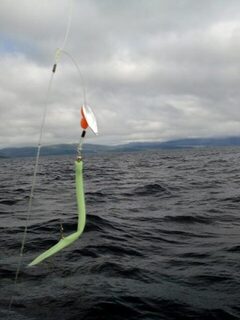 Норвегия: морская рыбалка с лодки, в 35 км от берега, моторная поломка