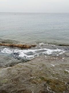 Турция, Аланья: морская рыбалка утром на матчевый поплавок и ракушки у скал