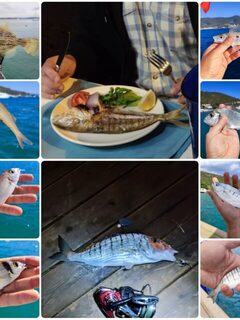 Торба, Турция: морская рыбалка с пирса, ночной лаврак и кефаль у берега