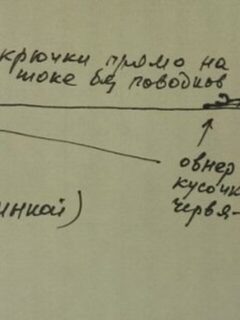 Турция, Анталийское побережье: морская рыбалка с легким спиннингом у камней и медленной проводкой