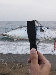 Турция, Анталийское побережье: час морской ловли на закате и рыба из скумбриевых