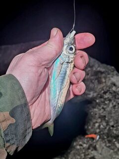 Ялта, Чёрное море: вечерняя ловля лёгким джигом с силиконовыми приманками