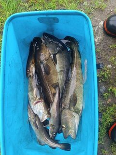 Белое море после шторма: пара часов морской рыбалки и четыре пойманные рыбы