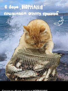 Дорогая Териберка на Баренцевом море: ресторан принимает треску как оплату
